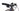 Orbea Wild 2022 - SRAM XX1 AXS 1x12sp - Aluminium