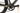 Canyon Grail CF SLX 2024 - SRAM X0 AXS - Zipp 303 Firecrest
