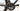 MMR Miracle 2021 - Shimano Ultegra - Super Team