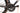 MMR Miracle 2021 - Shimano Ultegra - Super Team