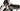 Look 586 Origin Pro Team 2012 - Shimano Dura-Ace - DT Swiss RC38C