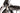 Look 586 Origin Pro Team 2012 - Shimano Dura-Ace - DT Swiss RC38C