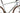 Specialized S-Works Aethos 2025 - Shimano Ultegra Di2 2x12sp - Fulcrum