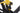 Mondraker Crafty XR 2022 - SRAM X01 - DT Swiss HX1501
