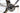 Ridley Helium SLX Disc 2024 - SRAM Force eTap AXS 2x12sp - Forza Levanto DB