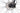 Focus Raven 2019 - SRAM NX 1x12sp - Rodi