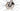 Trek Emonda SL 6 2024 - Shimano 105 Di2 2x12sp - Bontrager Aeolus Elite 35