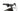 Orbea Wild HT 30 2020 - Shimano SLX - Rodi Tryp