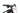 Orbea Wild HT 30 2020 - Shimano SLX - Rodi Tryp