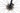 Giant TCR Advanced 1 2021 - SRAM Force AXS 2x12sp - Giant SLR 1