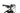 Olympia EX 900 Karbo Sport XT 2022 - Shimano XT - Aluminium