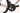 Specialized Tarmac SL8 Di2 12V 2023 - Shimano Ultegra Di2 - Roval C38