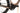Orbea Denna M20i 2025 - Shimano XT Di2 - Oquo RC25 Team