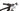 Specialized Epic Expert 2021 - SRAM X01 - Roval Control SL