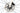 Ridley Grifn 2024 - Sram Rival eTap AXS 2x12sp - Forza Levanto Gravel DB