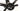 Cannondale SuperSix EVO 4 2023 - Shimano 105 2x12sp - DT Swiss R460
