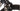 Focus Cayo EVO 2016 - Shimano 105 - Vision Team 35