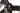 Focus Cayo EVO 2016 - Shimano 105 - Vision Team 35