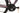 Bulls Crossbike Street 2024 - Shimano Altus - DDM 2