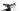Orbea Oiz M30 2021 - Shimano XT - DT Swiss X1900