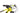 Scott Spark RC 900 World Cup 2021 - SRAM XX1 AXS 1x12sp - Industry Nine Ultralite 235