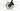 Trek Domane SL5 2021 - Shimano 105 - Bontrager