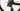 Scott Foil RC 10 2024 - Shimano Ultegra Di2 2x12sp - Syncros Capital 1.0 Aero 60mm