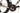 Trek Madone SL7 2025 - Shimano Ultegra Di2 2x12sp - Bontrager Aeolus Pro 51