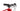 Wilier URTA Max SL - Shimano SLX - Miche XM 45
