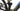 Conway Xyron S 4.9 2024 - Shimano Deore - Black Jack Ready 35