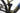 Conway Xyron S 4.9 2024 - Shimano Deore - Black Jack Ready 35