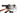 Wilier 110FX XX1 2021 - SRAM XX1 - Carbon
