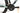 Ghost Kato Base 29 2024 - Shimano Acera - Ghost
