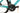 Bianchi Sprint Disc 2024 - Shimano 105 Di2 2x12sp - Velomann V30R