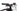Focus JAM 2 29 Pro 2021 - Shimano XT Di2 - DT Swiss