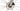 Cannondale SuperSix EVO 4 2023 - Shimano 105 2x12sp - DT Swiss R460