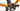 Specialized Venge Elite 2016 - Shimano Ultegra - DT Swiss PR 1400