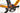 Specialized Venge Elite 2016 - Shimano Ultegra - DT Swiss PR 1400