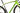 Specialized Crux 2019 - SRAM Rival - Roval Control SL