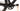 Mondraker Dusty R 2024 - SRAM Apex XPLR 1x13sp - MDK-XG1