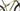 Orbea Oiz M30 2022 - SRAM NX - DT Swiss X1900
