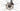 BMC Teammachine SLR01 FIVE 2024 - Shimano Ultegra Di2 2x12sp - BMC CRD351