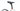 Coluer Invicta 2019 - Shimano 105 - Mavic Aksium