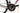 Ridley Grifn 2025 - Shimano 105 - Forza Norte
