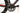 MMR Miracle 2016 - Shimano Ultegra - Roval Rapide CLX