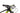 Scott Spark RC 900 World Cup 2020 - SRAM XX1 - DT Swiss XR 1700