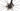 Mendiz F8 SL 2023 - SRAM Force AXS 2x12sp - DT Swiss P1800 Spline
