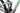 Canyon Strive CF 2021 - SRAM NX - Aluminium