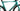 Bianchi e-Oltre 2024 - Shimano Ultegra Di2 2x12sp - Velomann Plutonium