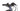 Centurion e-Fire Tour 2023 - Shimano Alivio - Alexrims